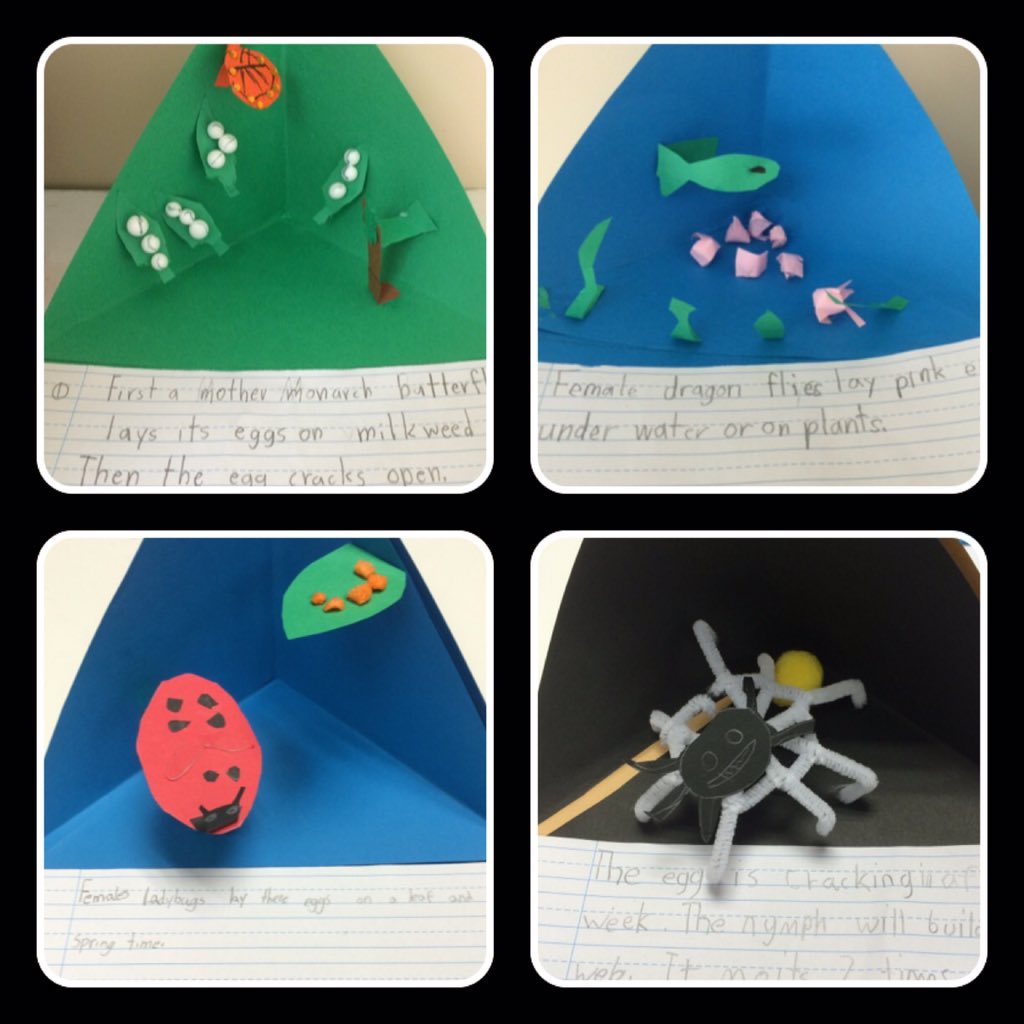 room2G's tweet photo. Students are building tri-ramas to explain different life cycles. https://t.co/czAlC64qi7