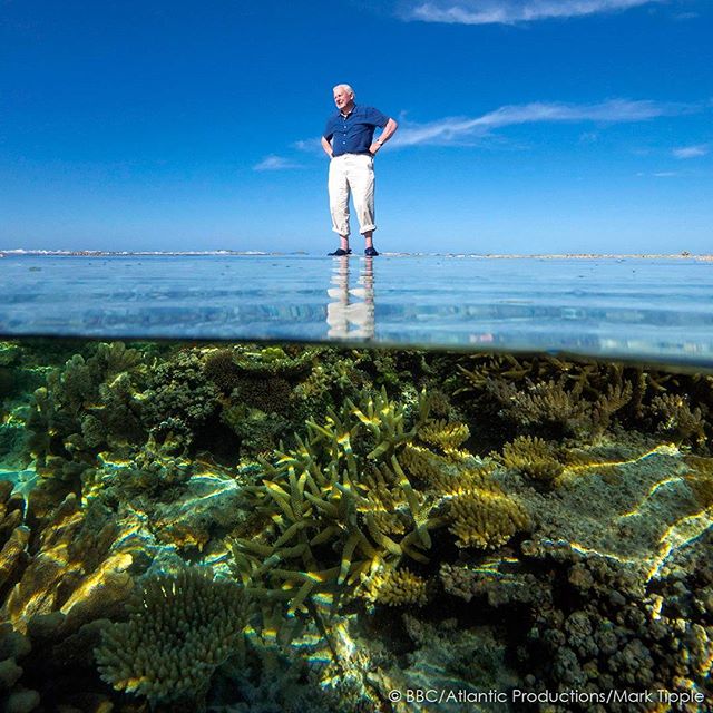 BBC Earth tweet media