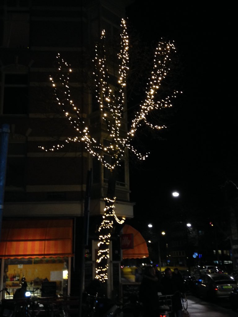 WeberKiki's tweet photo. Wonderland kind of morning! #winter #dark #dry #almostXmass https://t.co/OCjkATSWpg
