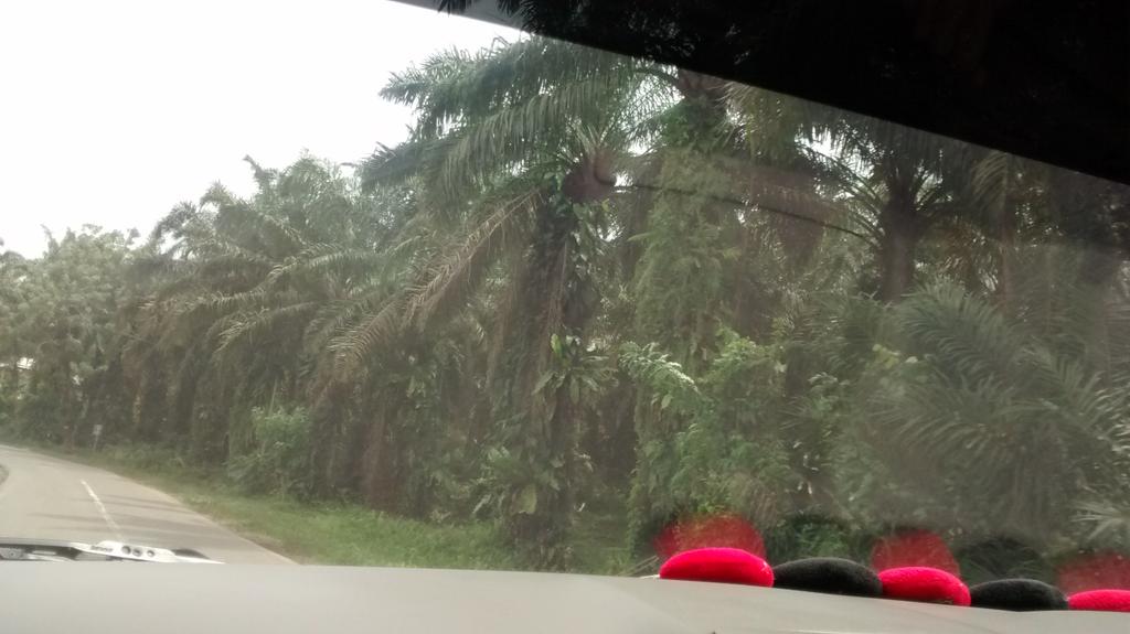 Indrasulis's tweet photo. Izin belusukan ke dalem bengkulu om.... @dodyirawan0476 https://t.co/7d21kb6C8D