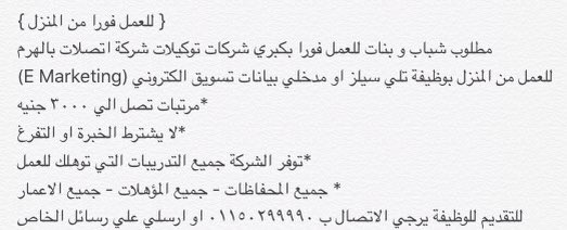 maro hany tweet media