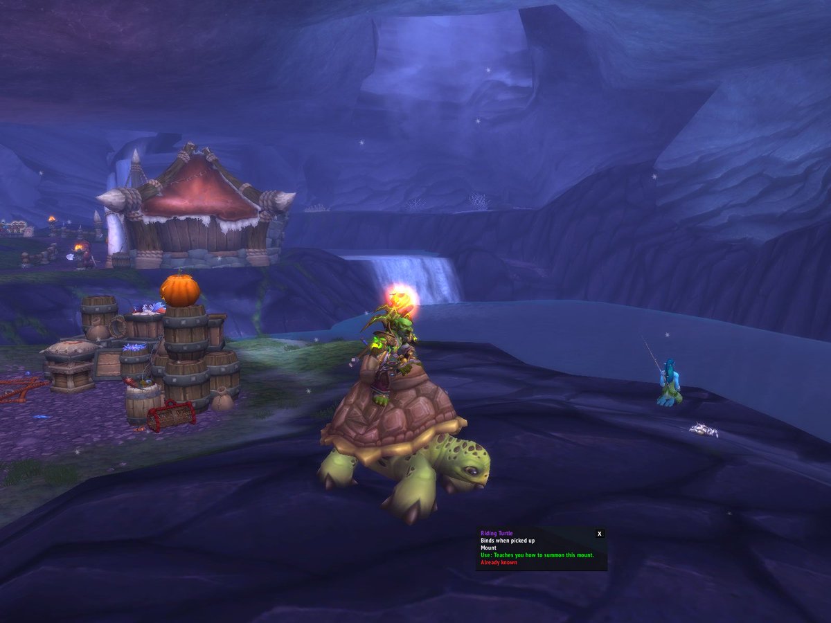 AreniEU's tweet photo. Riding Turtle yay!! #Warcraft https://t.co/VRQpXZZQQJ