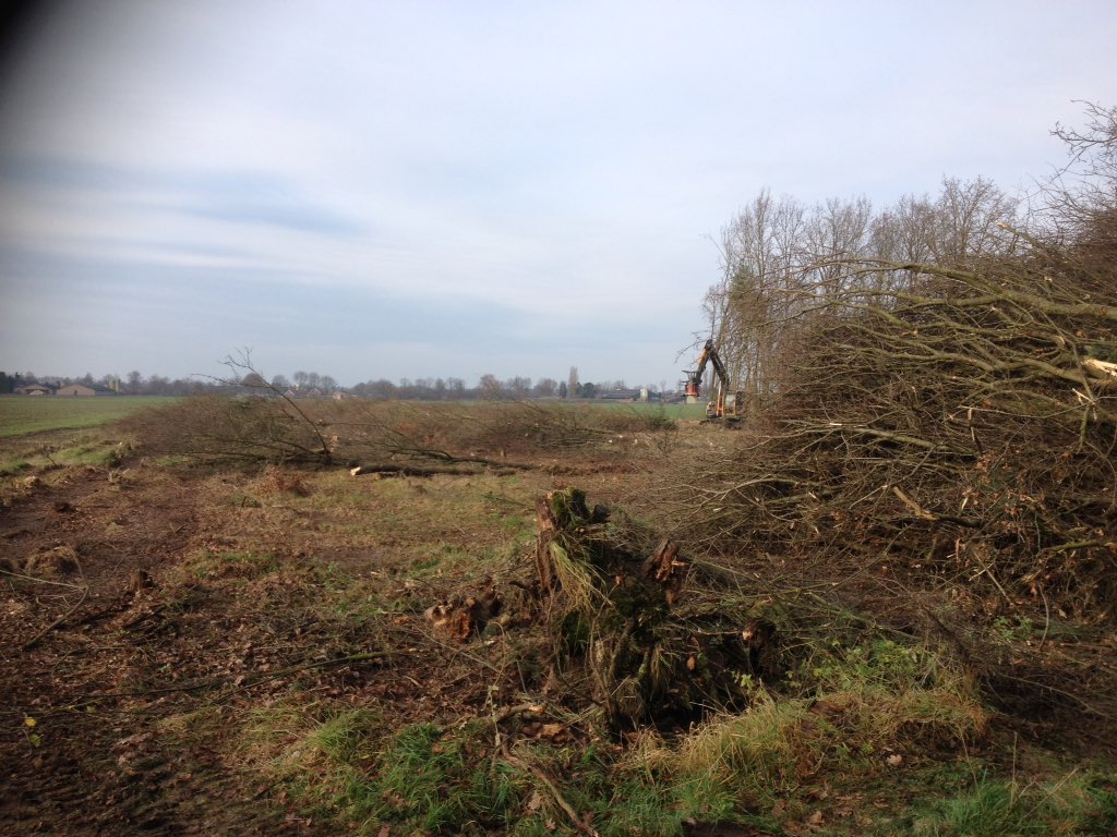 HarrySuilen's tweet photo. Zag dat weer een #houtwal opgeruimd wordt en vraagt zich af of er wel #gecompenseerd wordt #natuur #Budel #airport https://t.co/unjteetUTZ