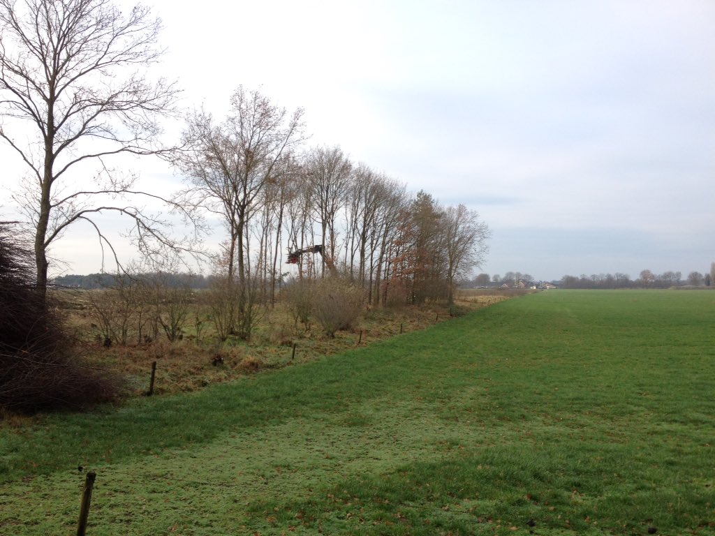 HarrySuilen's tweet photo. Zag dat weer een #houtwal opgeruimd wordt en vraagt zich af of er wel #gecompenseerd wordt #natuur #Budel #airport https://t.co/unjteetUTZ