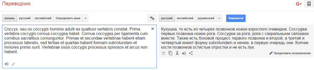 Ошибки перевода с английского на русский. Переводчик с английского на русский. Гугл переводчик с английского на русский.