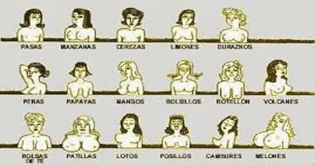 Ideal106_'s tweet photo. Descubre tu personalidad según el tamaño de tus pechos-->https://t.co/4d70iRvk99 https://t.co/I8tvPqNNW6 https://t.co/T06pGfx88E
