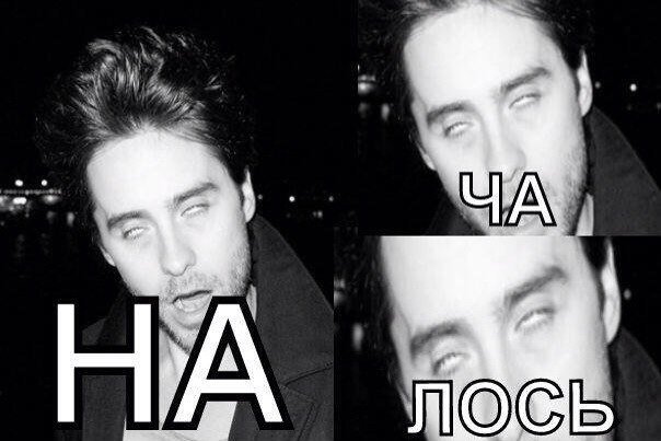 GeraldineLeto's tweet photo. Киллджои: #killjoycomeback
Тви: https://t.co/3gTI7mr1DV