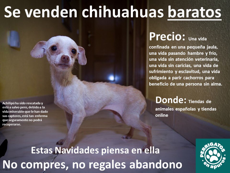 Estas navidades #NoRegalesAbandono visita un albergue animal.En España se abandonan más de 150000 animales al año