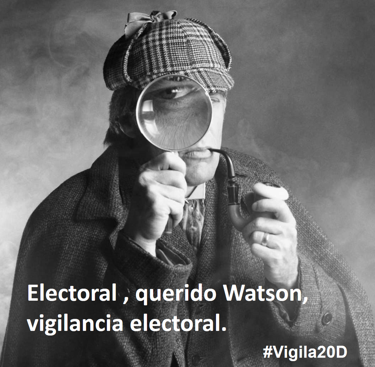 Vigila20D tweet media