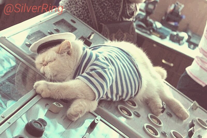 silverring_kld's tweet photo. Если в течение дня вы ничего не сделали относительно своей цели и призвания,вы не сделали ничего. #silverring39 https://t.co/2WSXYPzvXE