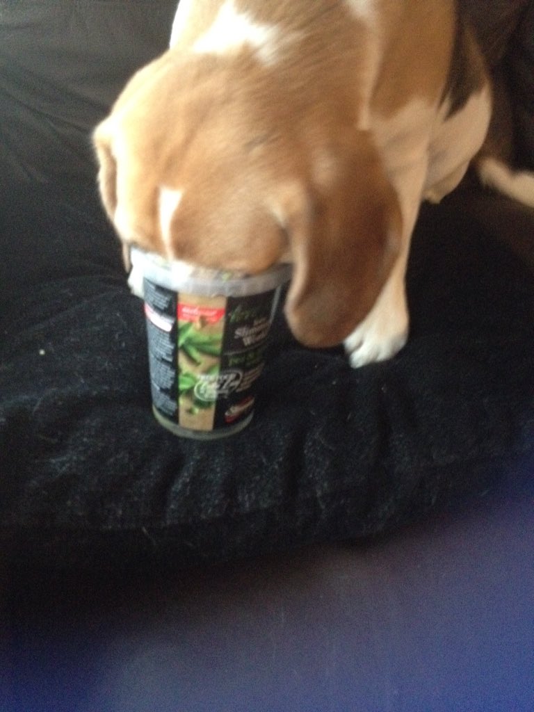 Slimwithlisa's tweet photo. If it's not the kids taking my @SlimmingWorld @IcelandFoods Pea &amp; Mint soup I now have 2 fight the dog #SWFrozen 😍 https://t.co/nKapdKBtuN