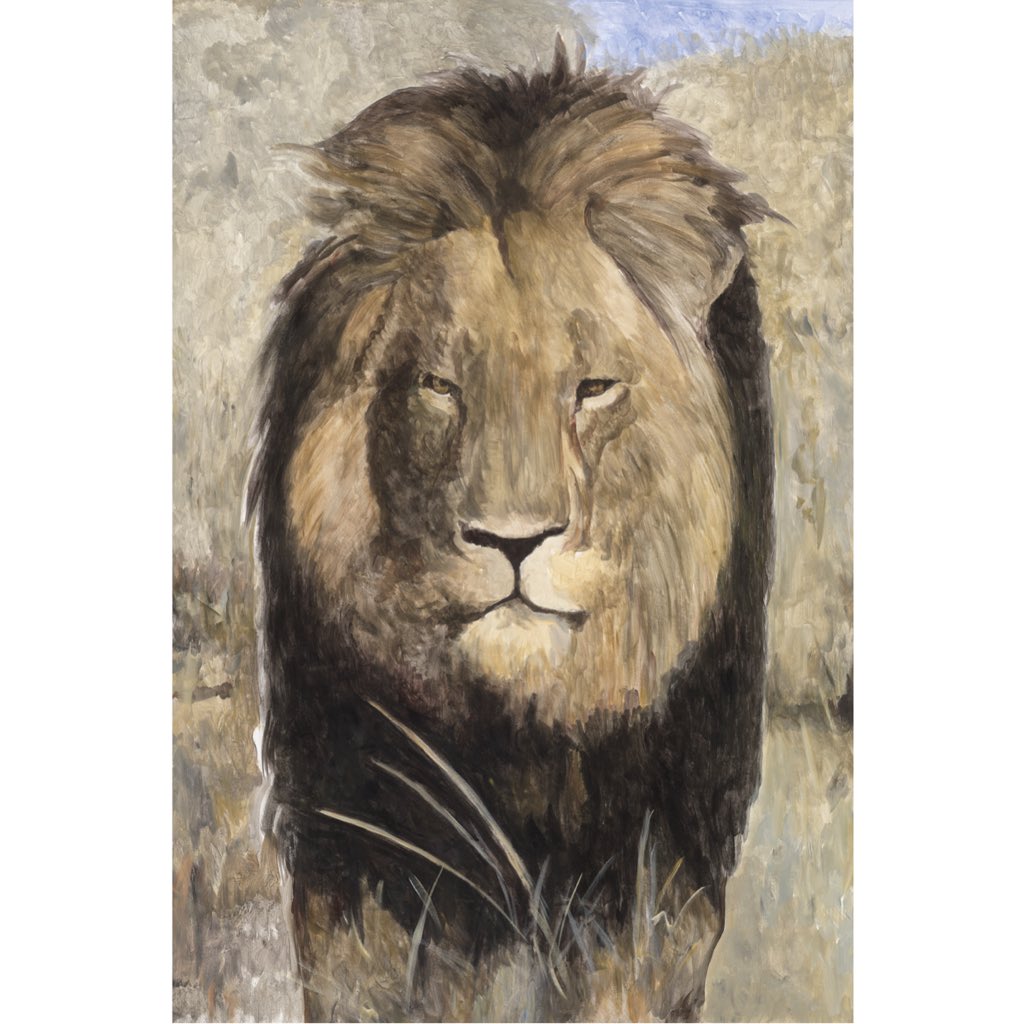 7Magazine_AD's tweet photo. Recordeu la tràgica història de #Cecilthelion? A @7Magazine_AD li dediquem la #portada del número 03 #animals #cover https://t.co/ZjDXm0VJCI