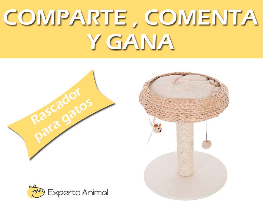 ExpertoAnimal tweet media