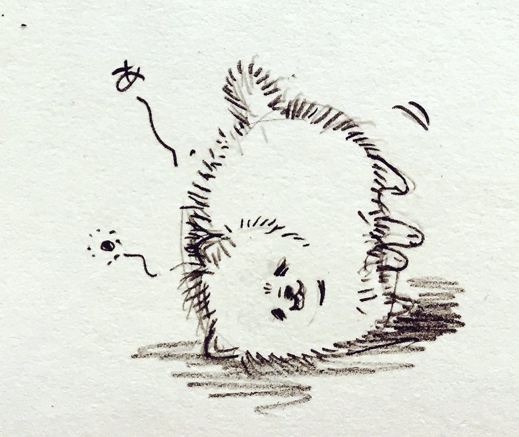 なめこさんストップ〜w 