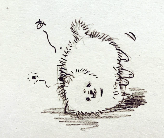 なめこさんストップ〜w 