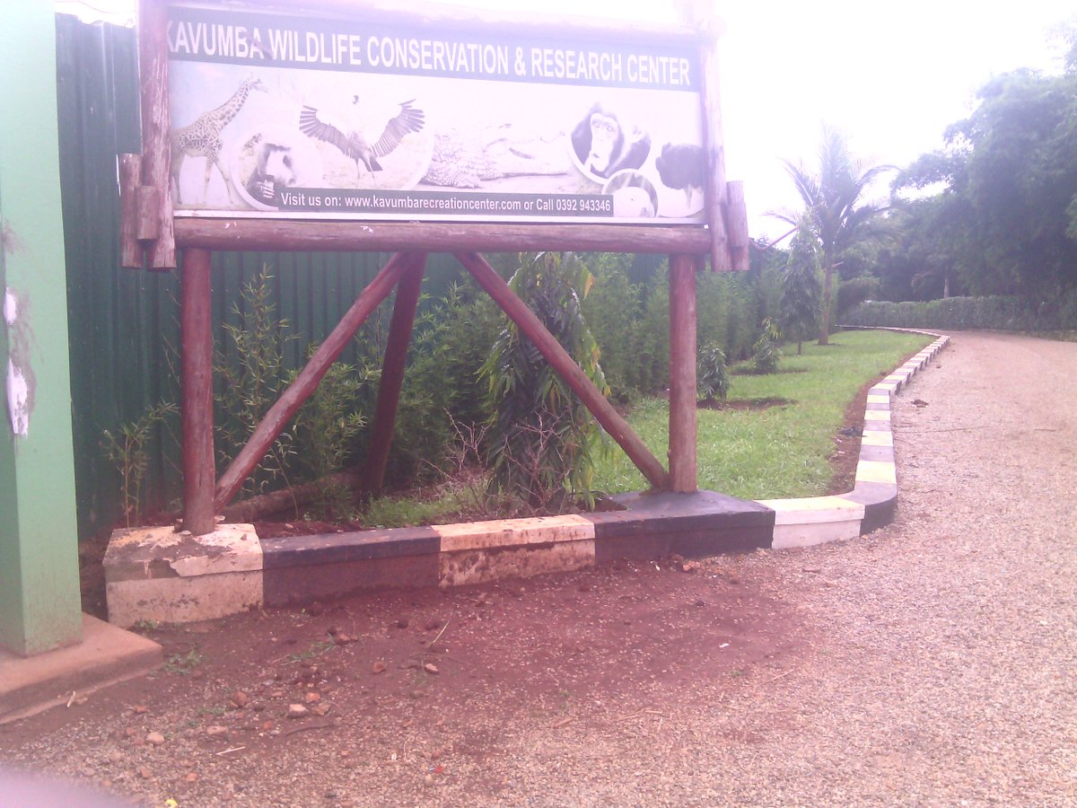 Moses Twinamatsiko tweet media