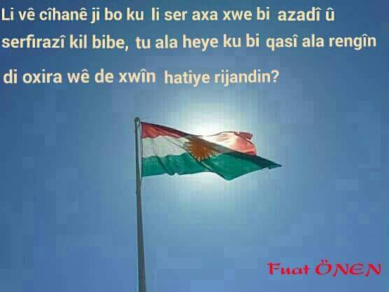 fuat onen tweet media