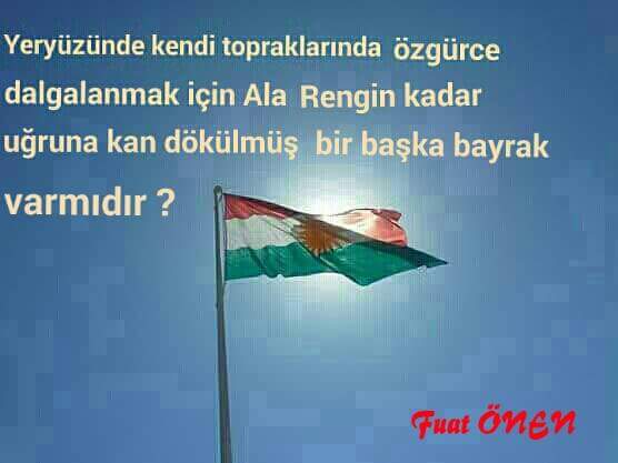 fuat onen tweet media