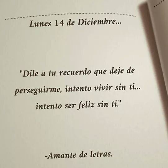 braynerivan's tweet image. 