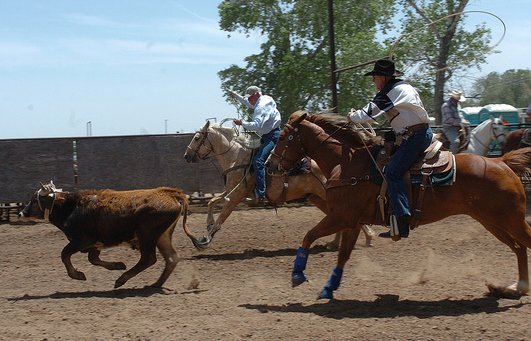 RNCFR's tweet photo. Don’t get your hand caught in the dally, you could lose a finger! Team roping problems! #TeamRopingTuesday https://t.co/rY5IWNGgDc
