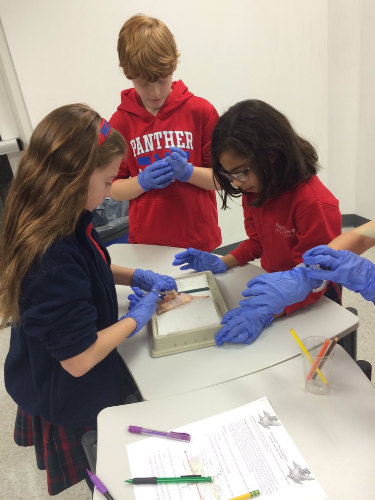 Mrs. J. Gannon tweet media