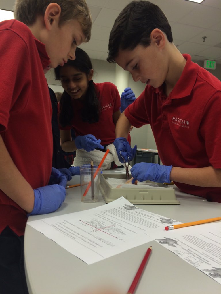 Mrs. J. Gannon tweet media