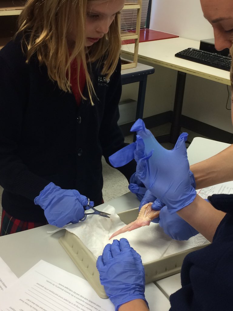 Mrs. J. Gannon tweet media