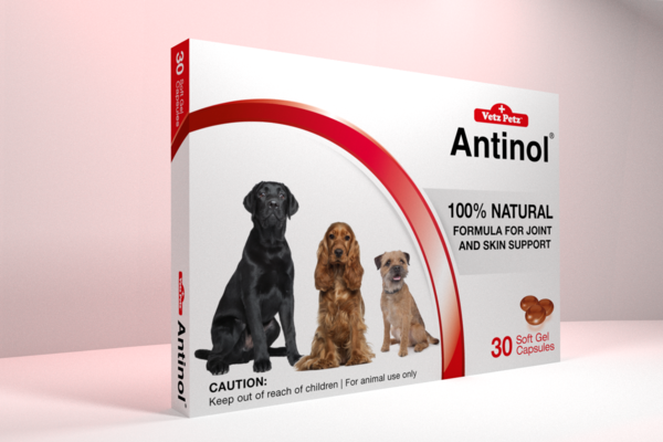 AntinolUK's tweet photo. Antinol® from Vetz Petz™ aims to enhance your #dog’s quality of life. Get it here: https://t.co/9FKtihyZSf #health https://t.co/QSaSmvqqhv