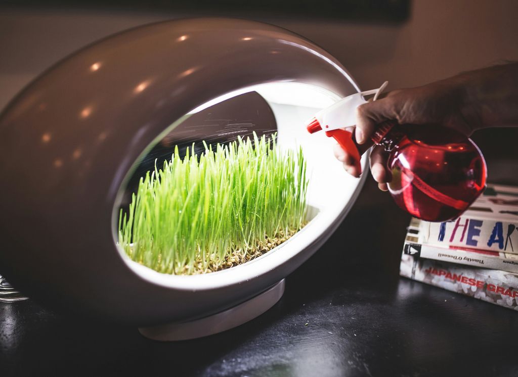 grasslamp's tweet photo. Grasslamp raised 50% of finall goal on Kickstarter, keep supporting us, 8 more days! #Grasslamp#Kickstarter https://t.co/fFUxBNev6F