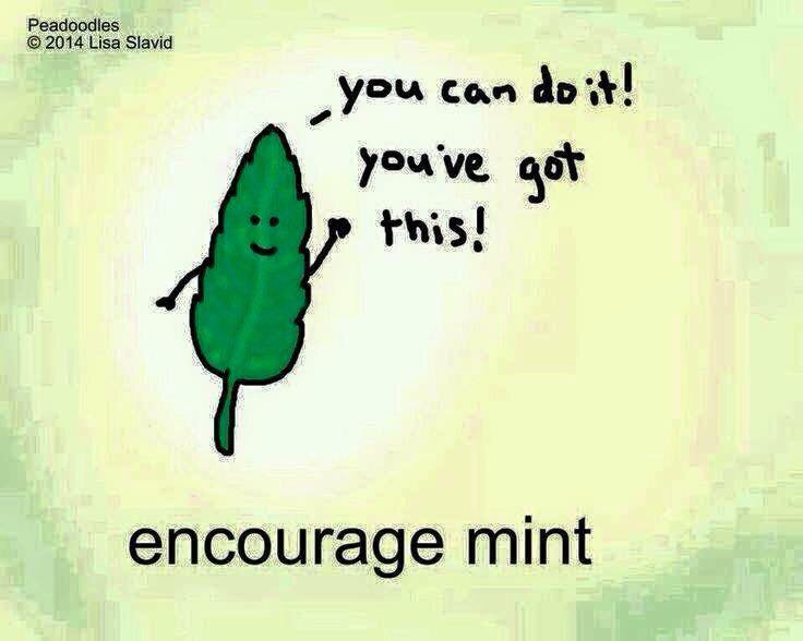 Michigan_DECA's tweet photo. Best of luck on your finals, Michigan DECA. Here's a little encourage-mint for ya! #umichdeca #LeadersAndBest https://t.co/gXgu0L9Hr7