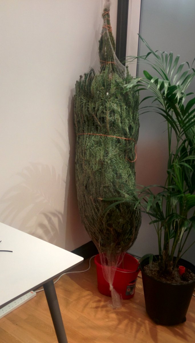 yujing890823's tweet photo. @YodelOnline We haven't get our Christmas tree stand, it's next day delivery from last week, christmas cancelled :( https://t.co/cvp1WWMCMM