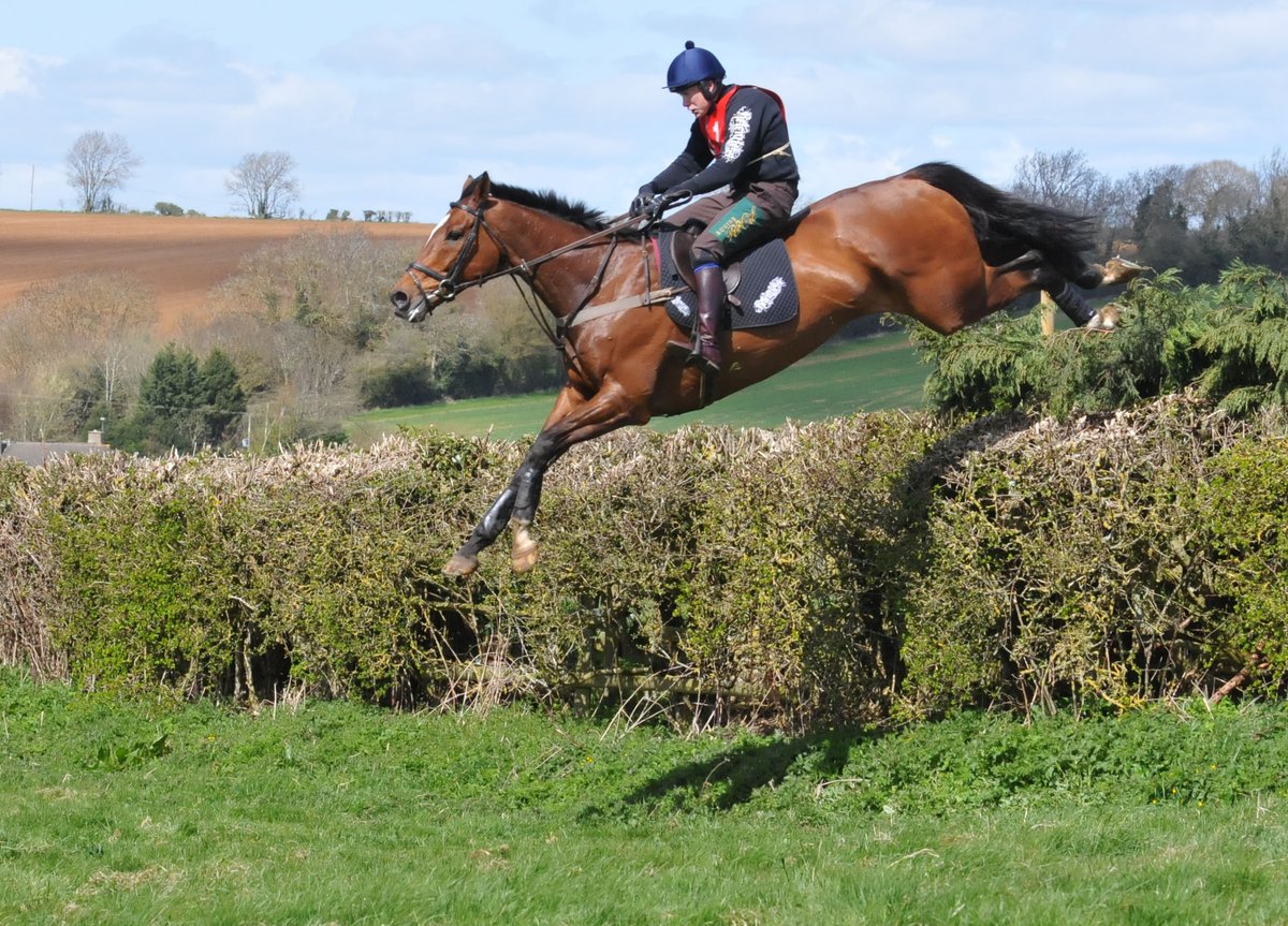ROilLiquidGold's tweet photo. Relentless Team Chase flying https://t.co/zRIkAIK9dk