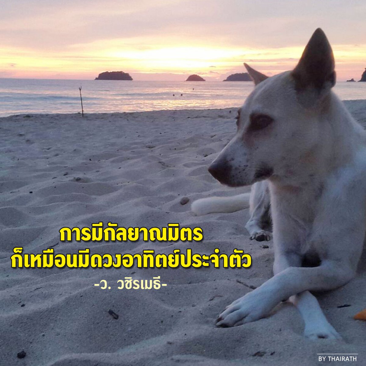 Thairath_News's tweet photo. การมีกัลยาณมิตร 
ก็เหมือนมีดวงอาทิตย์ประจำตัว 
-ว. วชิรเมธี-
#ธรรมะก่อนนอน #ไทยรัฐ https://t.co/Kbmu9fJe57