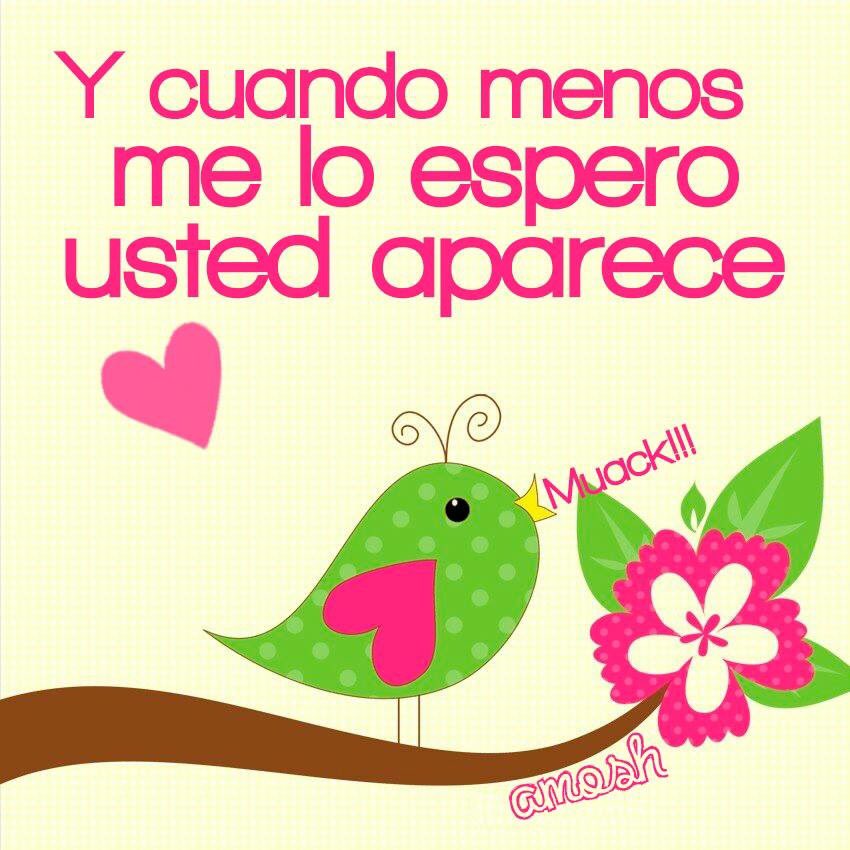puroamosh's tweet photo. Y cuando menos lo espero... Usted... #FelizMartes https://t.co/0cDnlrViOs