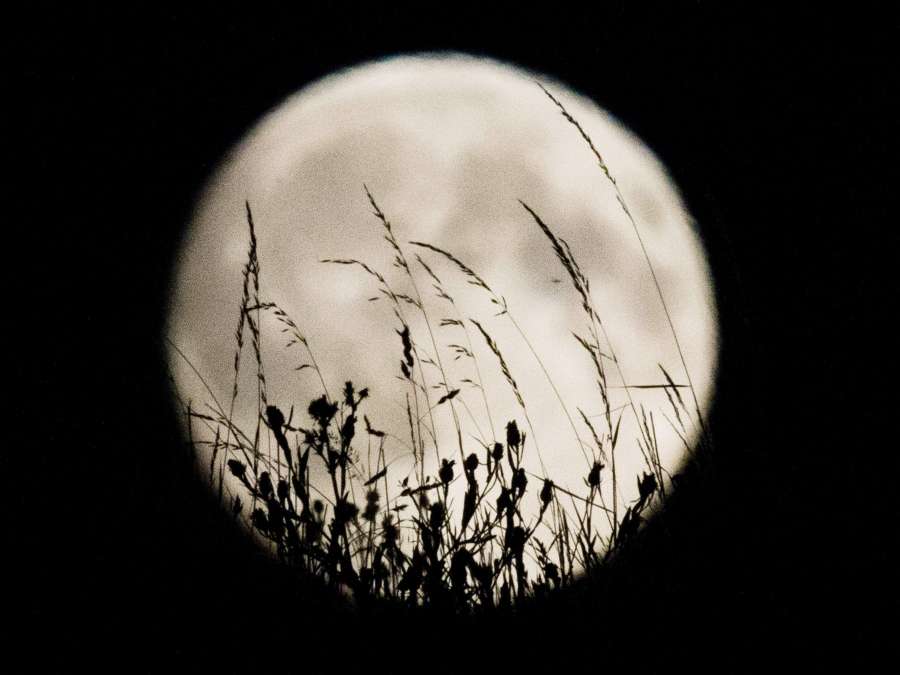 A3Noticias's tweet photo. El día de Navidad coincide con la Luna llena por primera vez desde hace 38 años https://t.co/OD3t1C26ZQ https://t.co/0Vssm5Dm6k