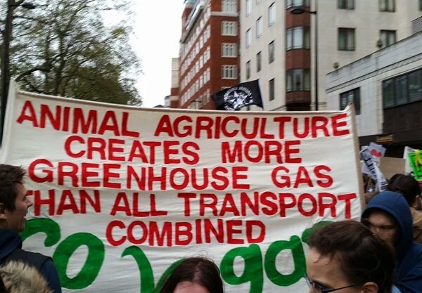 BringbackPlanet's tweet photo. Help us to fight the most destructive industry for our planet by sharing our post guys 
#cop21 #vegan #EarthToParis https://t.co/aYh7Ljy8z0
