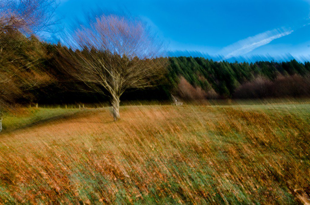 vrsim's tweet photo. Impressionist photography #acquerino https://t.co/yqXrvsReft