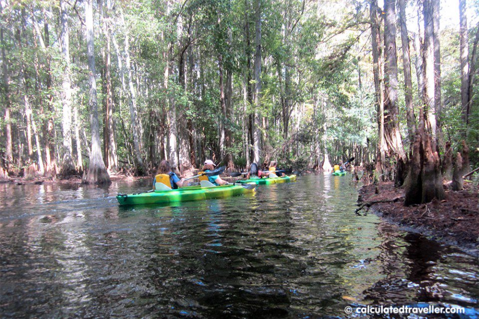 Kayaking Shingle Creek Kissimmee Florida calculatedtraveller.com/blog/kayaking-… <a href="/Kissimmee/">Experience Kissimmee</a> #MyKissimmee <a href="/PaddlingCenter/">The Paddling Center</a> #LoveFL