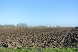 Rijk Zwaan koopt grond op Nieuw Prinsenland! Lees meer: nieuwprinsenland.nl/nl/glastuinbou…     <a href="/RijkZwaanNL/">Rijk Zwaan NL</a>