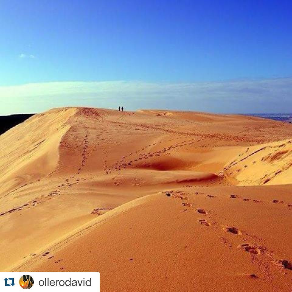 TVBA_fr's tweet photo. Notre magnifique dune du Pilat :) merci @ollerodavid pour la photo #bassindarcachon #duned… https://t.co/tetA3HLC9Z https://t.co/EmHxEIOqRm