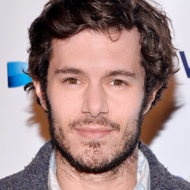 Happy Birthday, Adam Brody! The Star Turns 36  