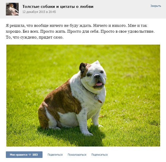 К концу года находить новые классные паблики «В Контакте» становится все сложнее.

w-o-s.ru/article/17858