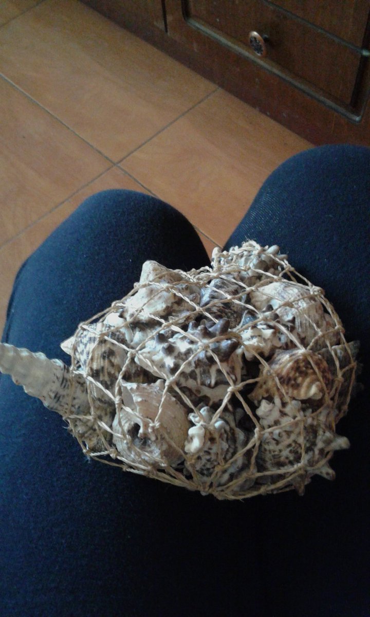21Caritoo's tweet photo. aajjaja una concha para lucho desde lontue  #unaconchaparalucho https://t.co/8ZhHW7AmyU