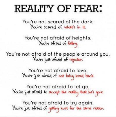 Fact's tweet photo. The reality of Fear: https://t.co/LxtXXVnMW4