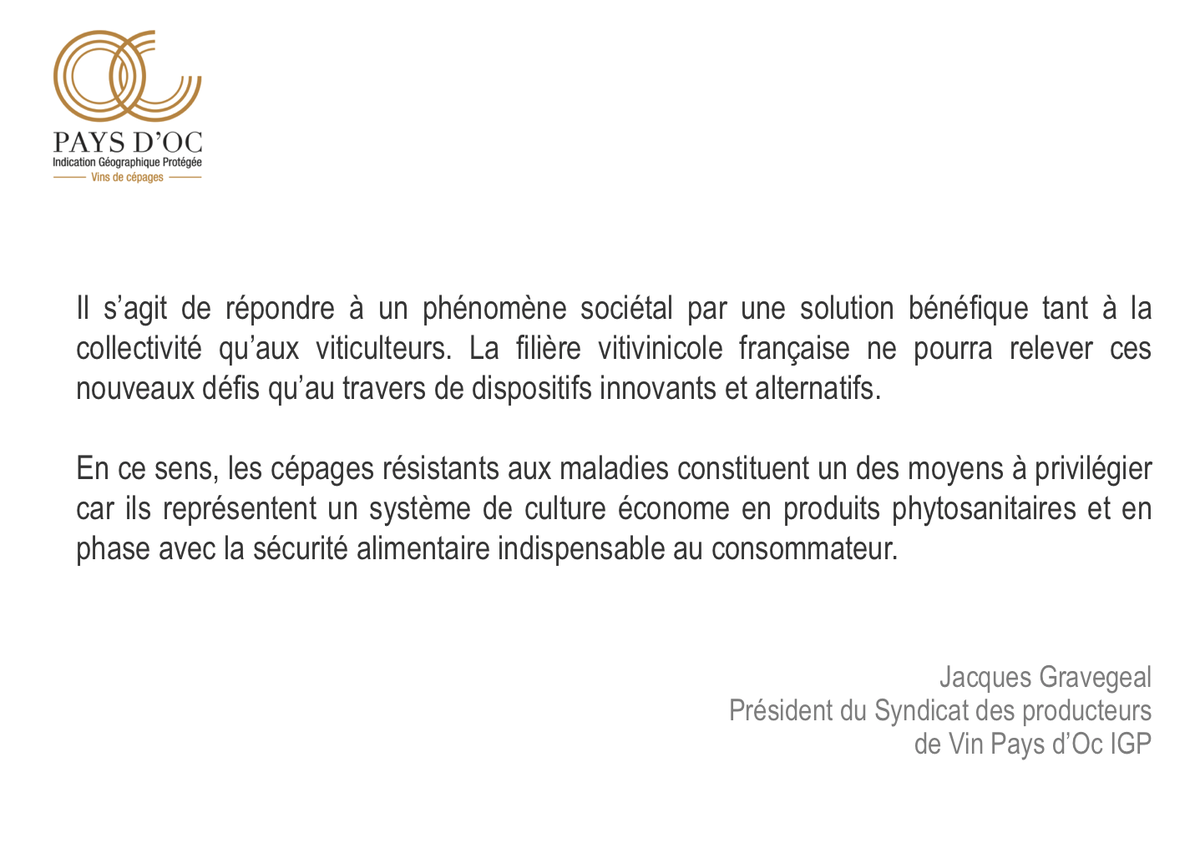VinsPaysdOcIGP's tweet photo. Expérimentation sur les #CépagesRésistants: Pays d’Oc IGP en appelle au Ministre @SLeFoll https://t.co/BRCeA8Aiqh https://t.co/hAaqJlDs5M