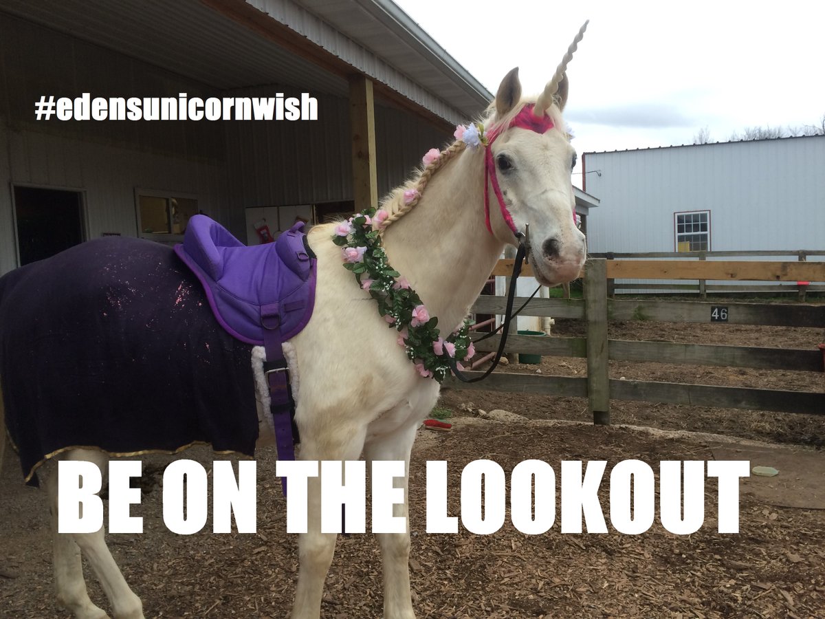 fox5dc's tweet photo. BOLO: We're hearing about some unicorn sightings around DC. If you see it, you know who to call. #edensunicornwish https://t.co/viuTep96VB