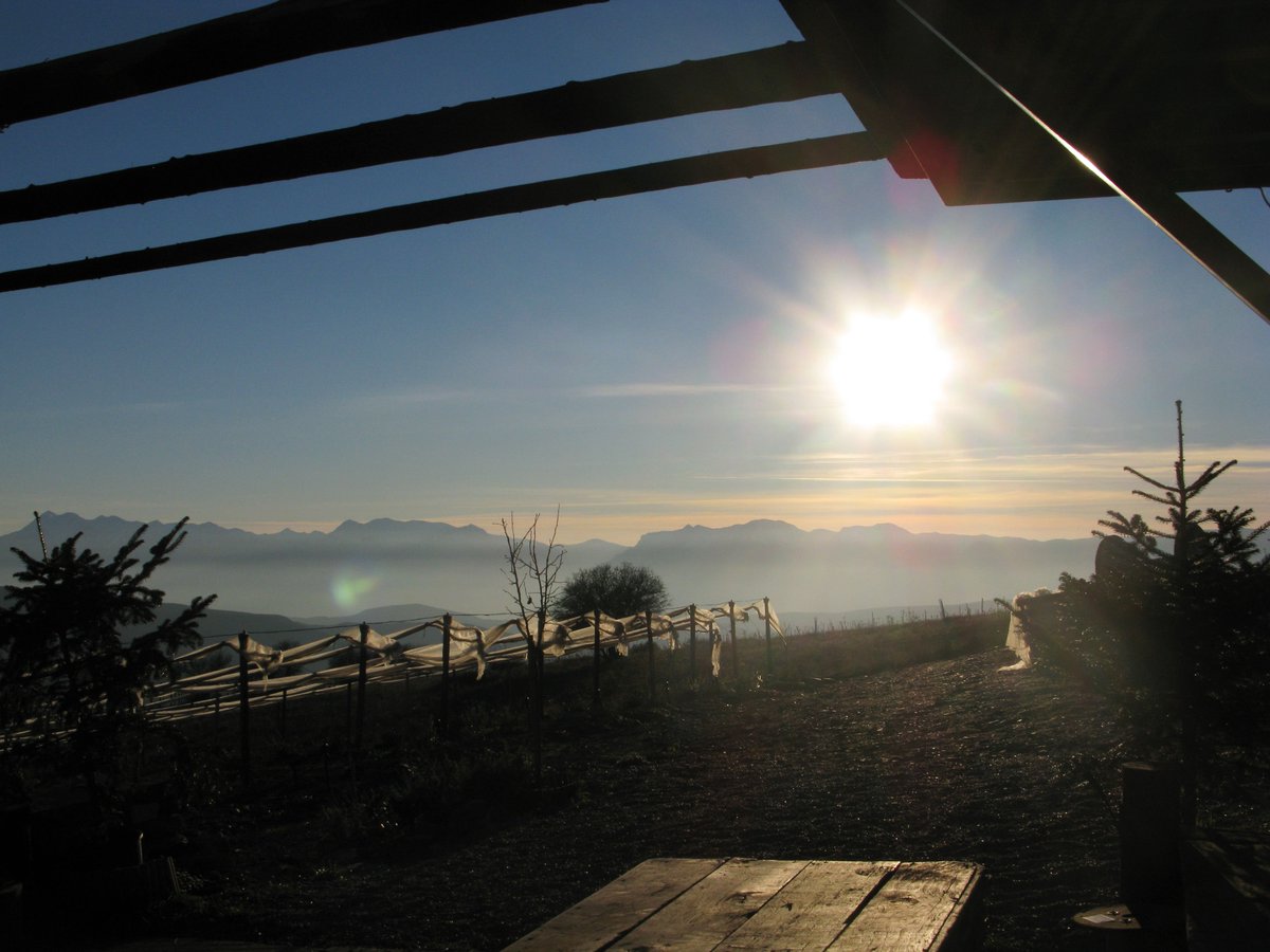 CocoonModules's tweet photo. Sunset at the land of YGAIA! 
https://t.co/iMNXHj2Ow8 https://t.co/REYveBwKId
