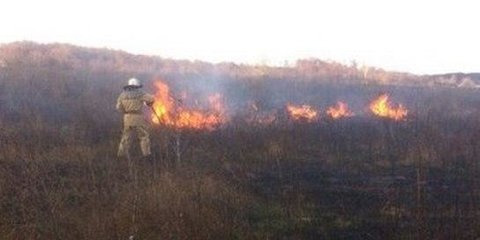 JaguarSA1's tweet photo. В Цюрупинском районе пожарные спасли от возгорания лесной массив https://t.co/7HdCdqHMlJ