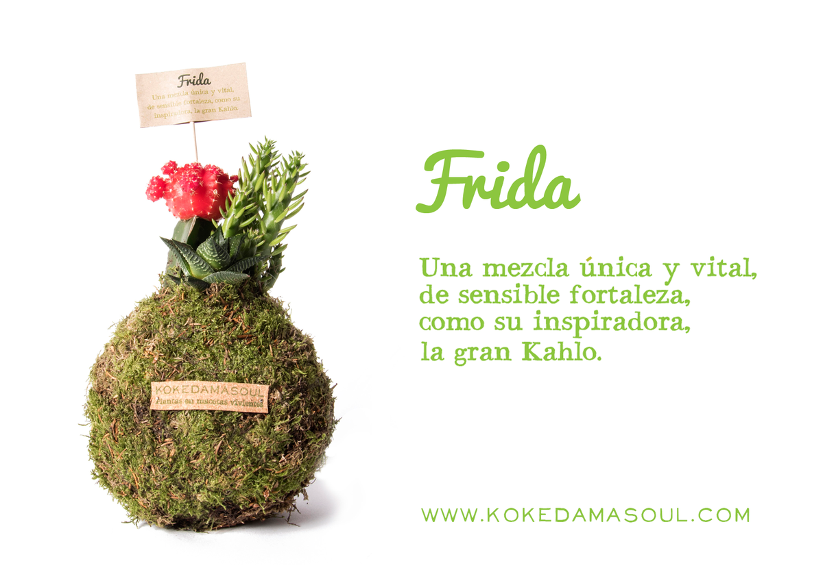 Kokedamas, mujeres y mucho soul! kokedamasoul.com/2015/09/29/kok… #kokedamasoul #kokedamas #kokefrida