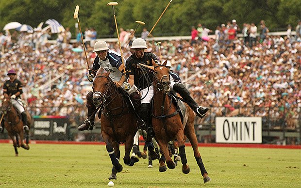 An eyewitness view of a #polo first-timer: telegraph.co.uk/sport/otherspo… #PalermoOpen2015 <a href="/TelegraphSport/">Telegraph Sport</a> #JLCandPolo